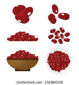 Kidney beans illustration set. Vector.