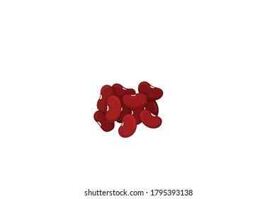 Kidney beans, Red beans vector illustration isolated on white background.