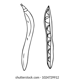 Kidney Beans vector illustration. Doodle style. Design, print, logo, decor, textile, paper