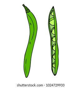 Kidney Beans vector illustration. Doodle style. Design, print, logo, decor, textile, paper
