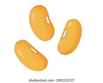 Kidney beans. Yellow beans in cartoon style. Healthy vegetarian food illustration.