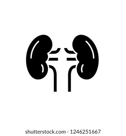 Kidney black icon, vector sign on isolated background. Kidney concept symbol, illustration 