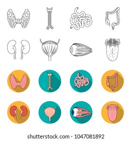 Kidney, bladder, eyeball, tongue. Human organs set collection icons in outline,flet style vector symbol stock illustration web.
