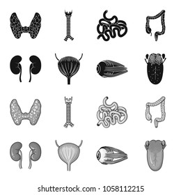 Kidney, bladder, eyeball, tongue. Human organs set collection icons in black,monochrome style vector symbol stock illustration web.