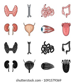 Kidney, bladder, eyeball, tongue. Human organs set collection icons in black,cartoon style vector symbol stock illustration web.