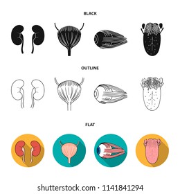 Kidney, bladder, eyeball, tongue. Human organs set collection icons in black,flat,outline style vector symbol stock illustration web.