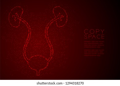 kidney and bladder shape Abstract Geometric Bokeh light circle dot pixel pattern; Medical Science Organ concept design red color illustration isolated on red gradient background with space; vector