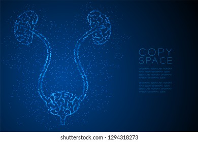 kidney and bladder shape Abstract Geometric Bokeh light circle dot pixel pattern; Medical Science Organ concept design blue color illustration isolated on blue gradient background with space; vector