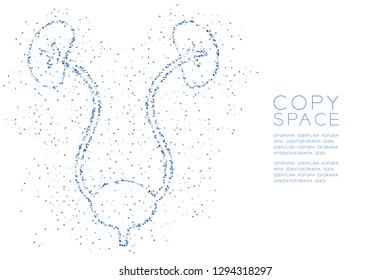 kidney and bladder shape Abstract Geometric polygon square box and Triangle pattern, Medical Science Organ concept design blue color illustration isolated on white background with copy space, vector