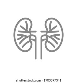 Kidney Blood Vessels Line Icon. Renal Vascular Disease Symbol