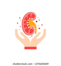 Kidney care concept. Vector illustration in flat style