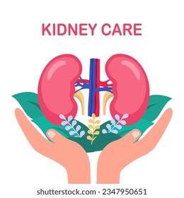 Kidney care concept vector illustration on white background.