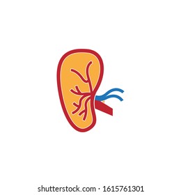 Kidney care icon and symbol vector illustration