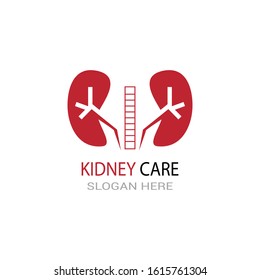 Kidney care icon and symbol vector illustration