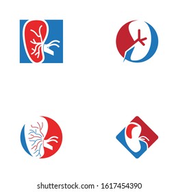 Kidney care icon and symbol vector illustration