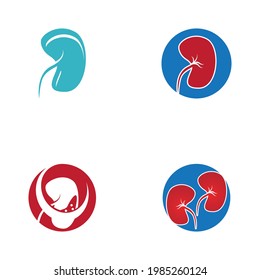 Kidney care icon and symbol vector illustration