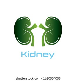 Kidney Care vector illustration design logo template symbol