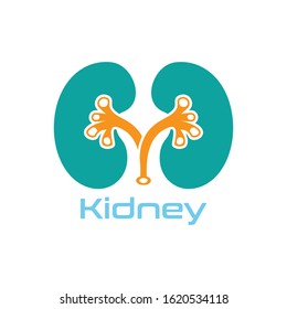 Kidney Care vector illustration design logo template symbol
