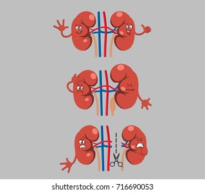Kidney Cartoon Character