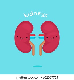 Kidney characters vector illustration