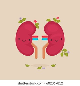 Kidney characters vector illustration