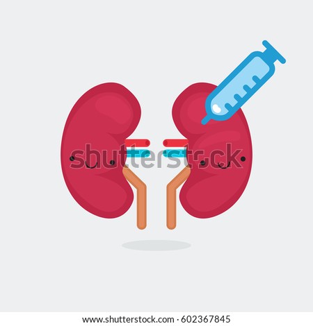 Kidney characters vector illustration