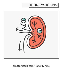 Icono de color del riñón. El exceso de fluido por filtro renal y los productos de desecho de la sangre. Concepto de salud.Ilustración vectorial aislada