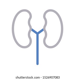 kidney colour line vector icon