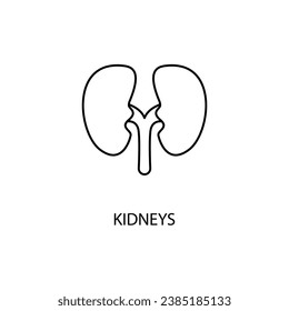 Kidney concept line icon. Simple element illustration.Kidney concept outline symbol design.