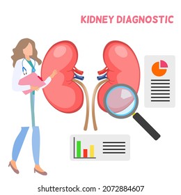 Kidney diagnosis concept, human kidney with statistic chart and graph, a lady doctor holding document board and explaining about kidney disease information 