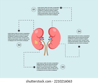 Kidney Disease, Bad Health. Internal Human Organ Infographic Template With Four Options.