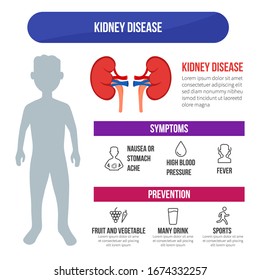 3,862 Kidney disease infographic Images, Stock Photos & Vectors ...