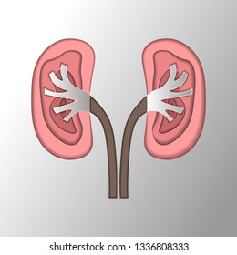 kidney disease paper cut style. Stones in the kidneys. Pyelonephritis. Urolithiasis disease