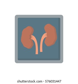 kidney disease x-ray flat icon