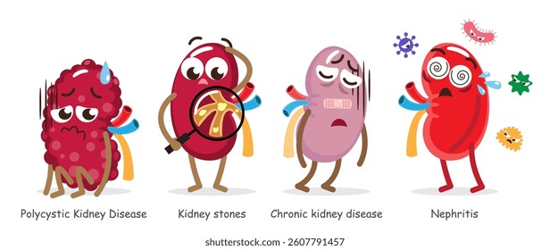 Kidney diseases . Include Polycystic Kidney Disease, Renal stones, Chronic renal failure, Nephritis . Collection of cute medical cartoon characters . Isolated white background . Vector .