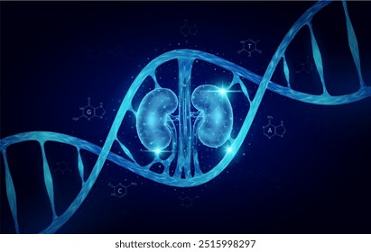 Célula genética de ADN renal doble hélice azul. Biología genética sintética combinada. Órgano de anatomía brillante poligonal. Análisis de código timina, adenina, guanina, citosina. Vector de antecedentes de ciencias médicas.