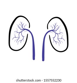 kidney doodle icon vector hand drawing 