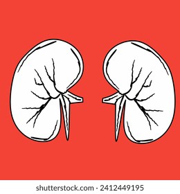 Kidney editable outline icon, on red background