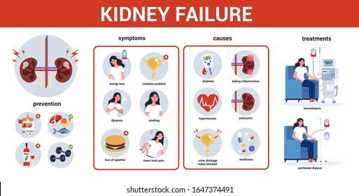 Kidney failure infographic. Symptoms, causes, prevention and treatment. Idea of medical treatment. Urology, internal human organ. Healthy body. Vector illustration in cartoon style