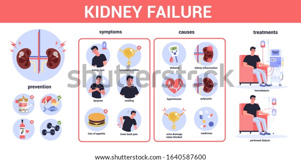Kidney Failure Infographic Symptoms Causes Prevention 스톡 벡터로열티 프리