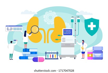 Kidney failure professional treatment, hemodialysis concept vector illustration. Special device for treating internal organ. Doctor in medical coat examine kidney through magnifier, connect device.