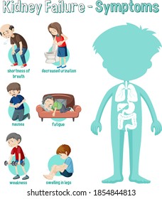 Kidney Failure Symptoms Information Infographic illustration