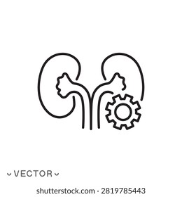 kidney function line icon, kidneys with gears, healthy urinary system, renal function and nephrology concept. thin line symbol isolated on white background, editable stroke eps 10 vector illustration