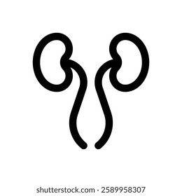 Kidney function test. Editable stroke vector icon.