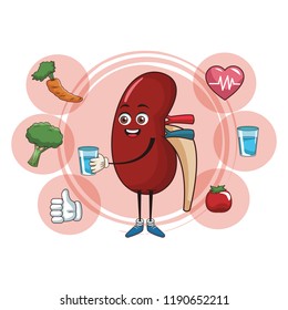 Kidney funny cartoon