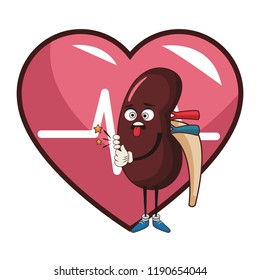 Kidney funny cartoon