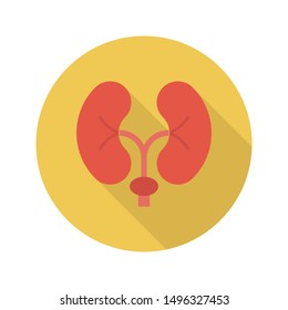 kidney glyph flat vector icon