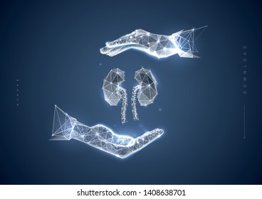 Kidney in hand. Polygonal wireframe composition. Concept for banner of nephrologist and organ donor. Organ transplantation. Abstract illustration isolated on blue dark background.