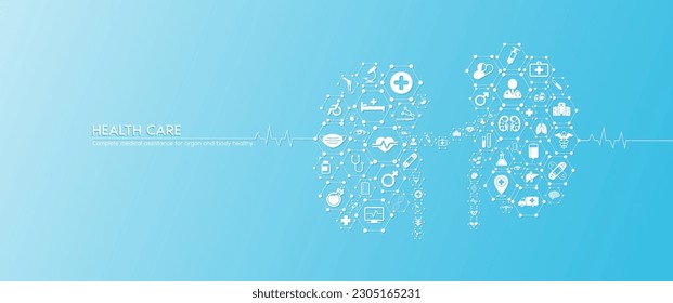 Kidney health care. Medical icons inside hexagons connected in the shape of the human kidney with white rate graph heart pulse. Organs icons on blue background banner. Vector.