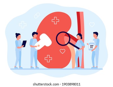 Kidney Healthcare, Urology And Nephrology. Doctors Doing Medical Research, Examination, Check Health. Concept Of Renal Failure, Diseases Kidney. Medical Kidney Disease Treatment. Vector Illustration
